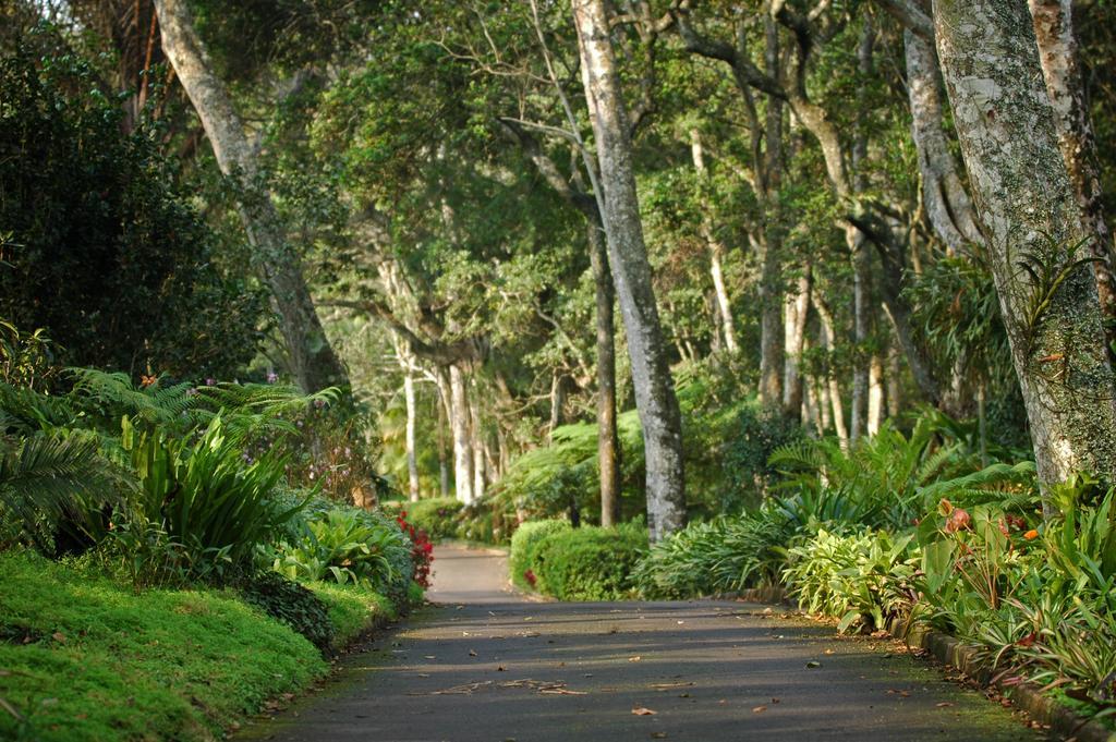 Makaranga Lodge Durban Exterior photo